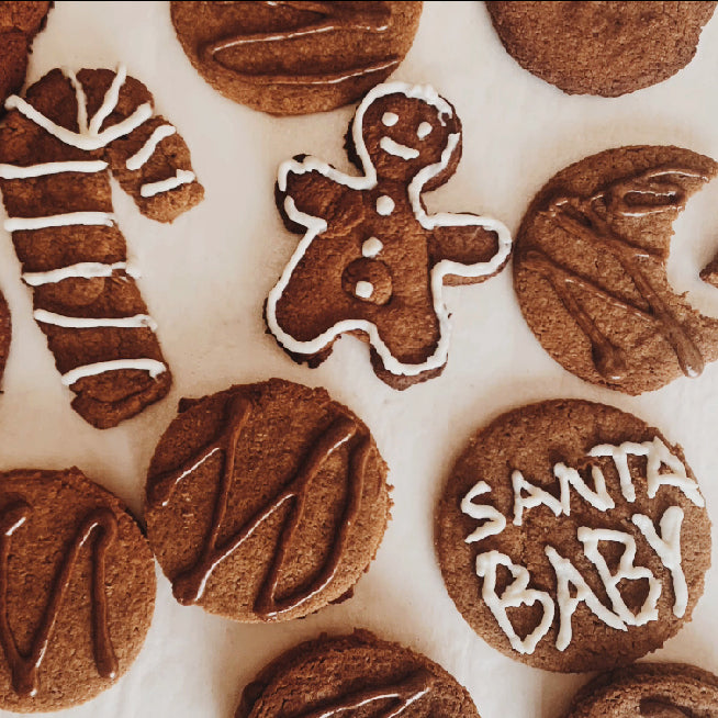 Paleo Gingerbread cookies by Tamara Qaddoumi