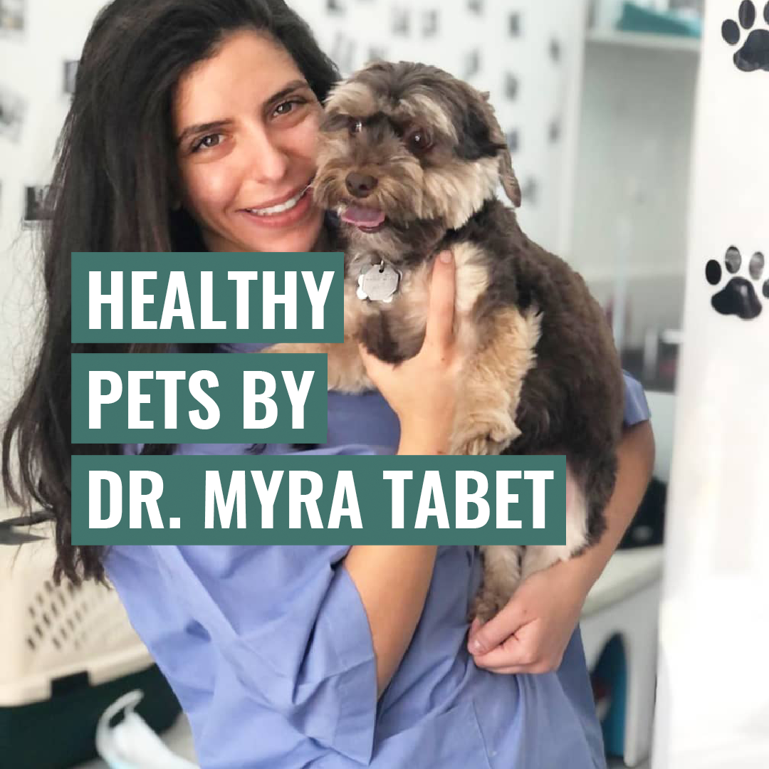 Healthy Pets by Dr. Maya Tabet