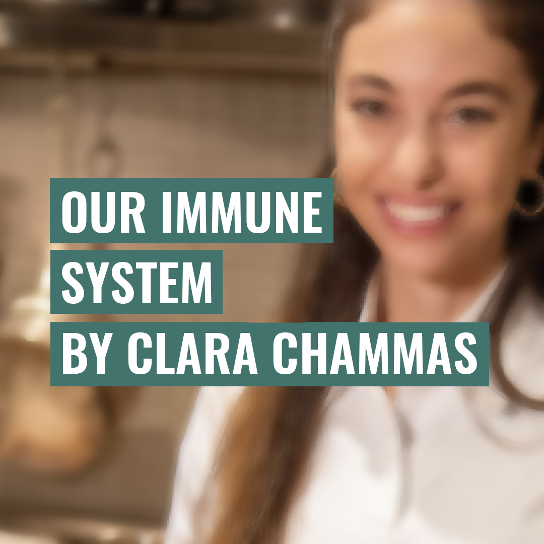 Our Immune System by Clara Chammas