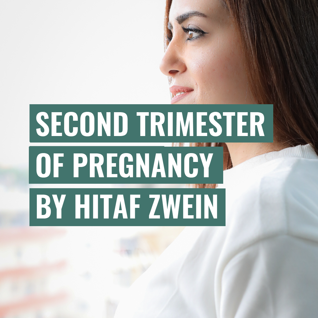 Second Trimester Of Pregnancy By Hitaf Zwein